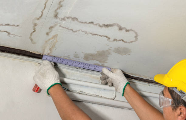 Reliable Water Damage Repair contractor in Edwall, WA by Hirex Water Damage